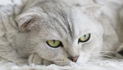 期货和现货是什么？期货交易和现货交易有什么不同