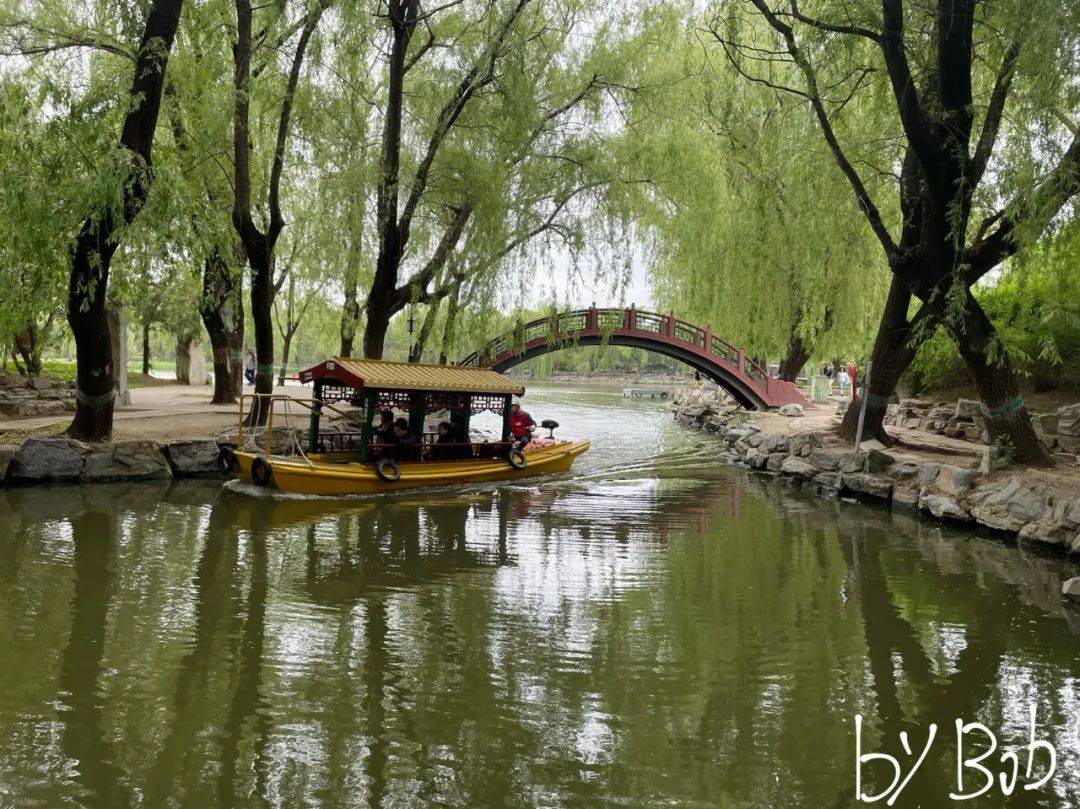 “今年<strong></p>
<p>币圈一级市场</strong>，一级市场投资人忙转型”