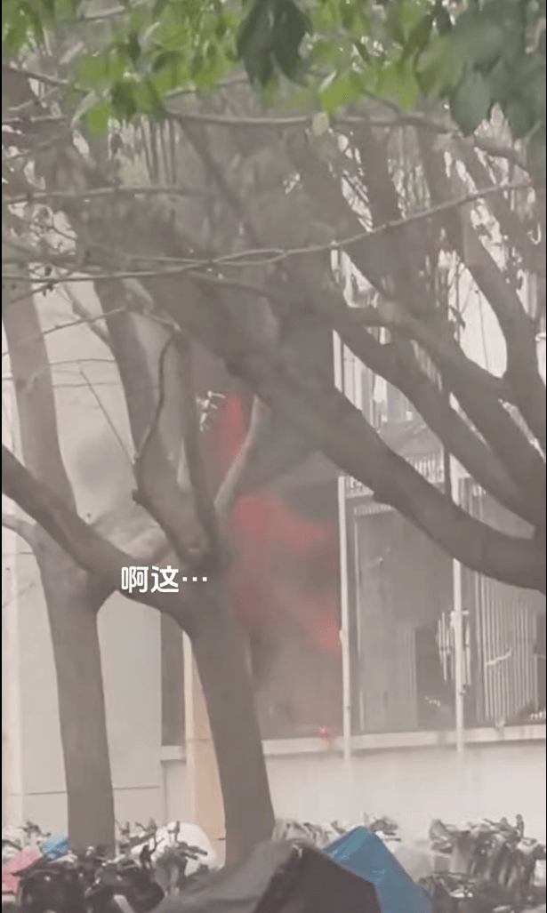 女生宿舍起火<strong></p>
<p>云币网公信宝</strong>，楼栋闸机成撤离“拦路虎”，警务室：刷脸是为保障安全