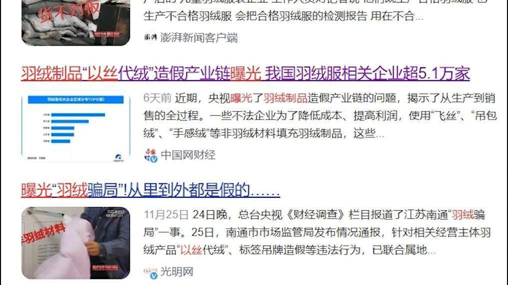 羽绒服“假绒”乱象调查：“羽丝”“绒丝”到底是什么<strong></p>
<p>wfee币</strong>？