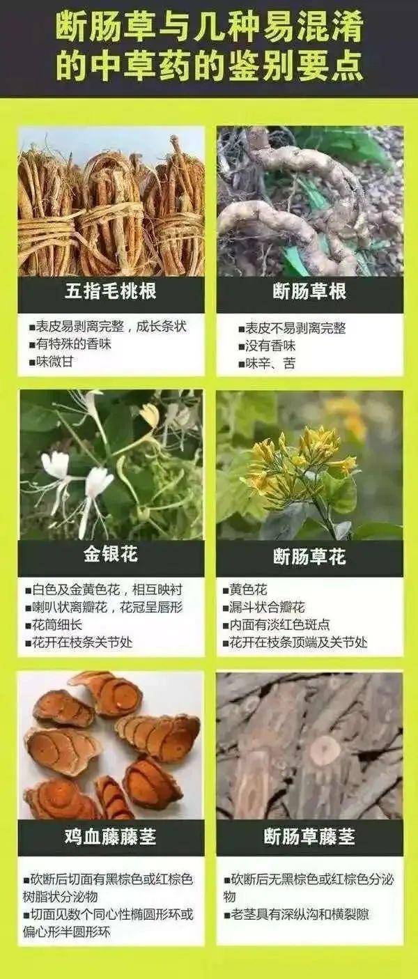 广东一老人买药材煲汤中毒身亡 当地：店铺误售断肠草<strong></p>
<p>玩币圈</strong>，老板被拘留