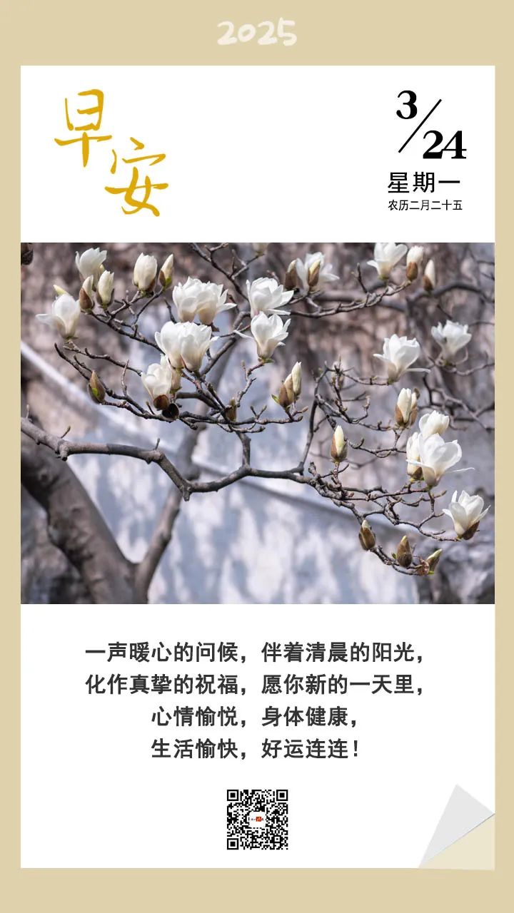她被发现在家中死亡<strong></p>
<p>烙印币</strong>！两个月前刚卸任