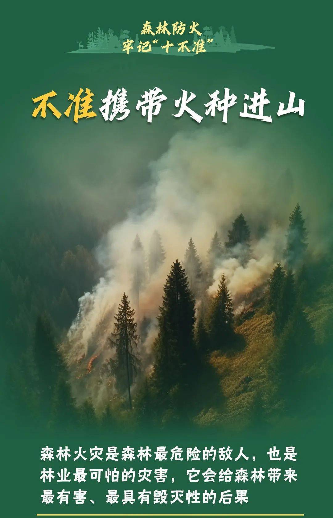 已致4名消防员遇难<strong></p>
<p>名朋圈币</strong>！多地进入“灾难状态”