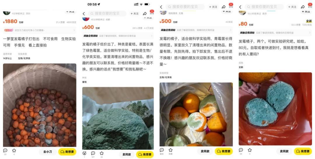 突然火了<strong></p>
<p>炒云币的风险</strong>！有人卖500元一个！网友：后悔扔了……
