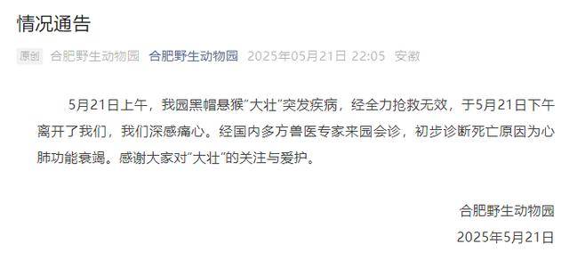 网红猴“大壮”突然离世<strong></p>
<p>添加提币地址</strong>！曾因方脸“丑”出圈