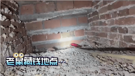 老人用红袜子包裹一万元现金藏在门框上<strong></p>
<p>91币</strong>，一天后不翼而飞，警方破案：偷钱的是老鼠