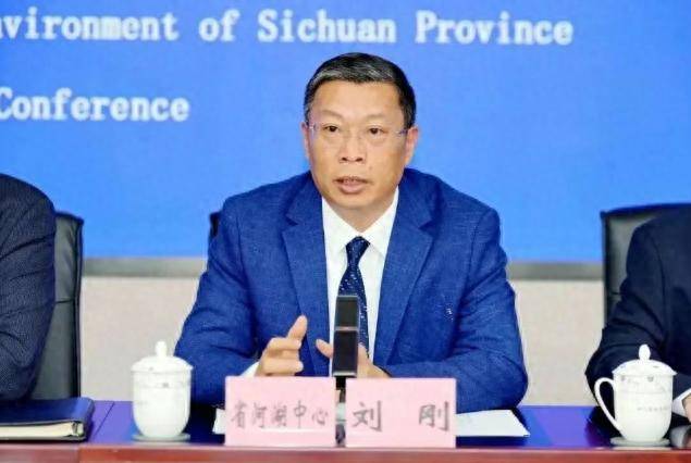 中央巡视期间<strong></p>
<p>炒币砸盘的目的</strong>，刘刚任上被查