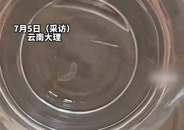 女子喝了隔夜水里的蚊子卵<strong></p>
<p>闪链币</strong>！专家：没事