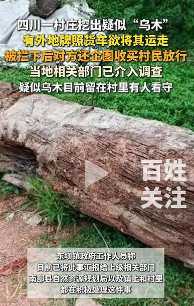 四川一村庄疑挖出珍贵乌木<strong></p>
<p>莱姆币</strong>，有人想运走被拦下，当地回应