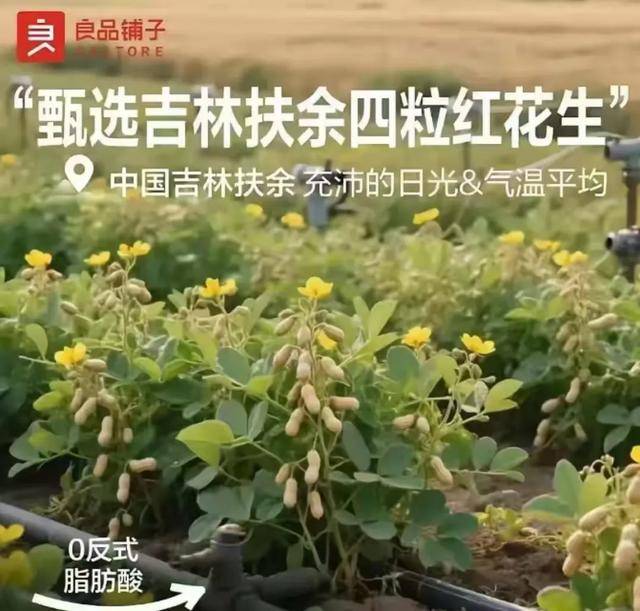 “花生上树”闹剧：AI翻车背后<strong></p>
<p>币圈历史</strong>，我们都在弄丢常识？