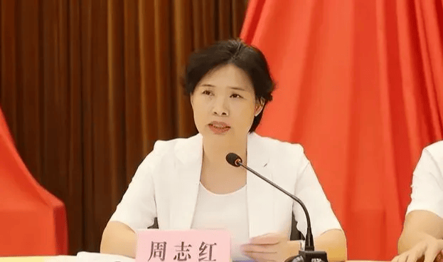 中共中央批准<strong></p>
<p>炒币圈</strong>，开除周志红党籍