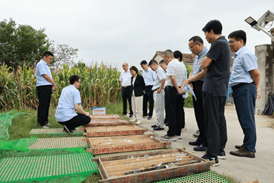 江苏发现金矿<strong></p>
<p>炒币大神</strong>！离扬州不远！
