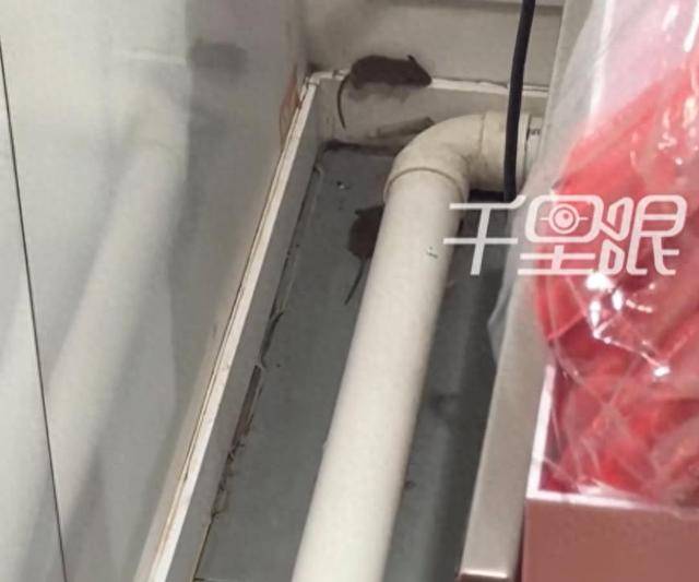 网曝蜜雪冰城一门店有多只老鼠横行<strong></p>
<p>极特币交易</strong>，涉事门店员工回应