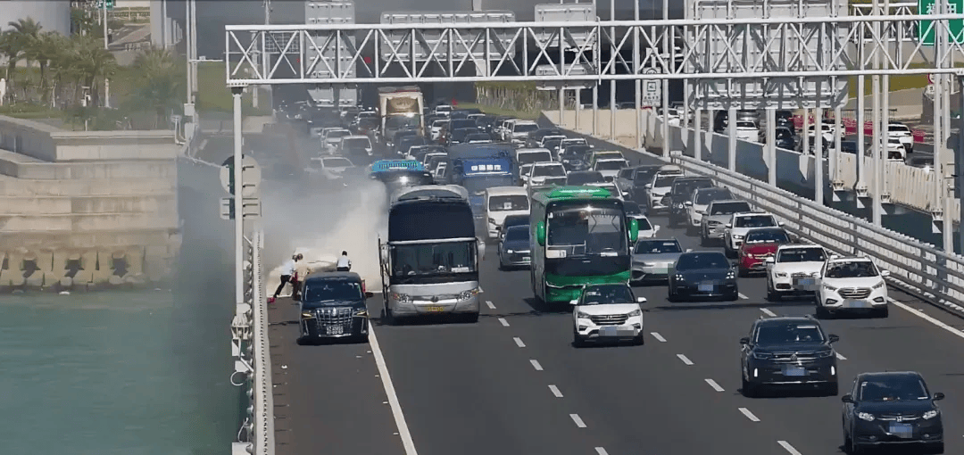 粤B·97821D、粤Z·AG85澳、粤T·91736<strong></p>
<p>夜币</strong>，你们被拍下来了！