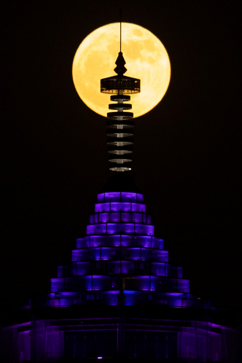 花好月圆人团圆<strong></p>
<p>夜币</strong>，中秋“硬核”赏月指南来了