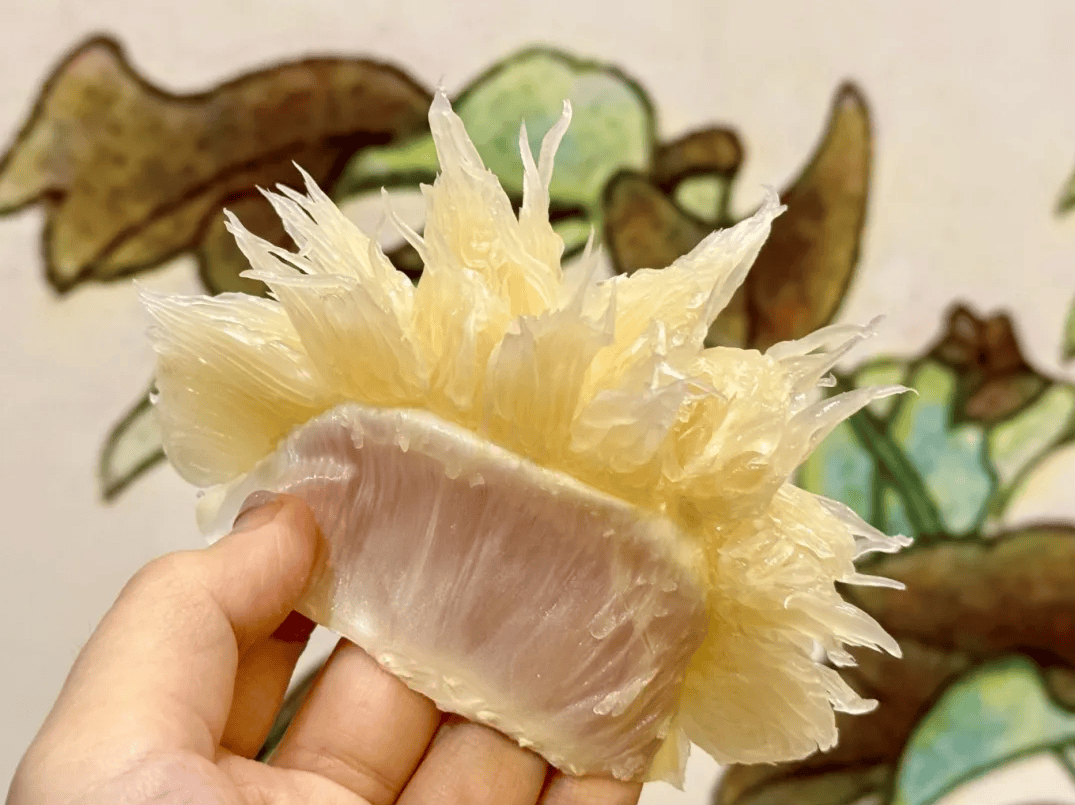 没有什么能阻挡！今天<strong></p>
<p>夜币</strong>，广西人就是要回家！