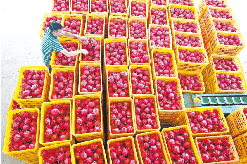 没有什么能阻挡！今天<strong></p>
<p>夜币</strong>，广西人就是要回家！