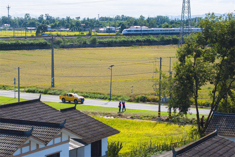 阖家团圆时<strong></p>
<p>打币子</strong>,他们守护蓉城灯火