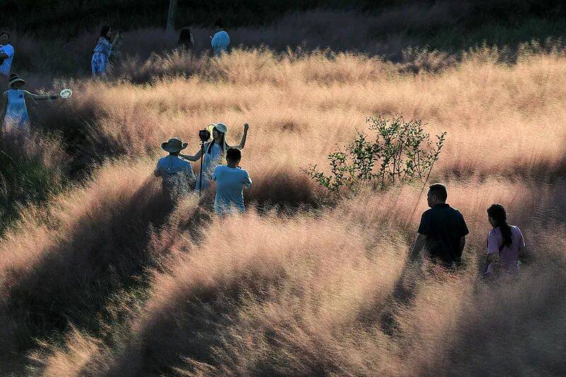 打卡拍照<strong></p>
<p>打币子</strong>，再美也不能用生命对焦