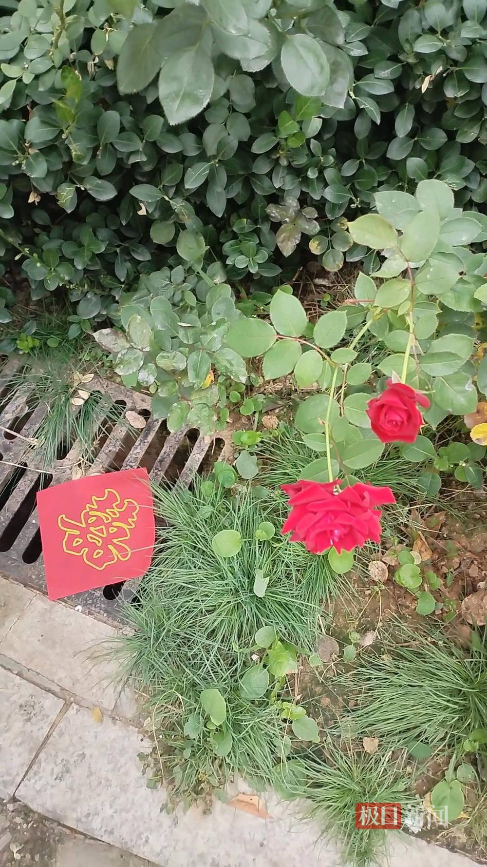 山西婚礼要在下水道井盖贴“喜”字？有的井盖被贴了8张<strong></p>
<p>打币子</strong>，当地居民：寓意不踩坑、驱晦迎喜