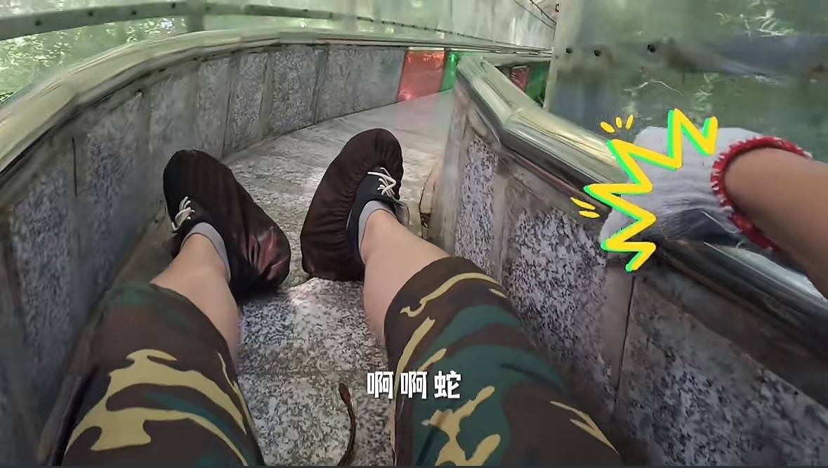 游客称在广西丹炉山滑道遇蛇<strong></p>
<p>星币一</strong>，景区致歉：这么多年就这一次，每年都做防蛇处理