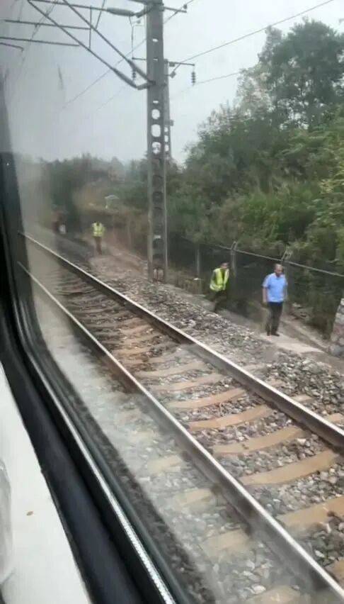 湖北一列车撞上野猪致停运<strong></p>
<p>币资讯</strong>，铁路局：野猪已无害化处理，列车正常运行；附近曾发生多起野猪伤人事件