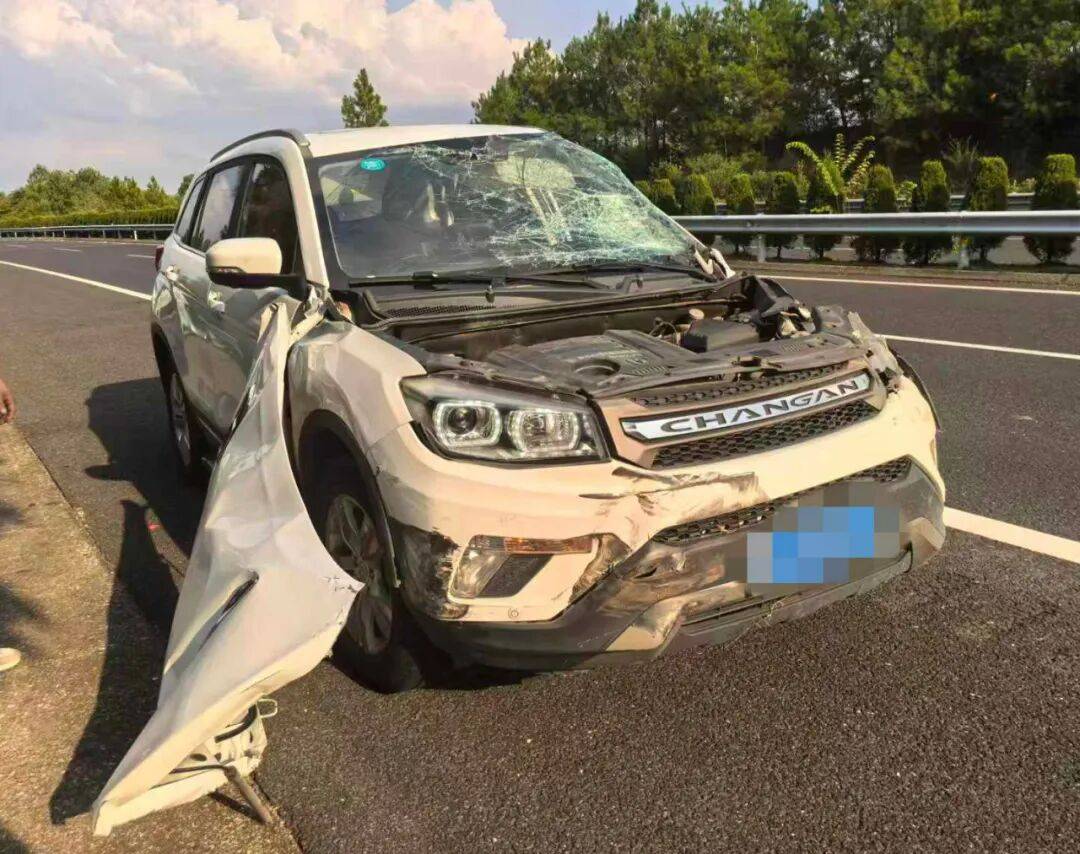 “我撒谎天打雷劈！”男子高速突然强行变道致翻车<strong></p>
<p>币资讯</strong>，反诬赖对方