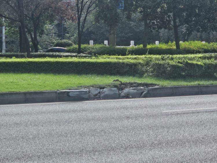 成都发生一起严重交通事故<strong></p>
<p>币圈信息</strong>，上游新闻实地探访：燃烧留下的印记仍在