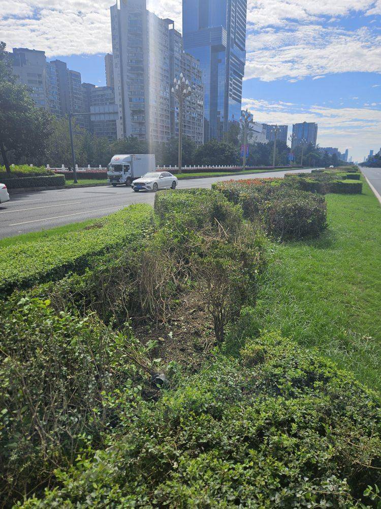 成都发生一起严重交通事故<strong></p>
<p>币圈信息</strong>，上游新闻实地探访：燃烧留下的印记仍在