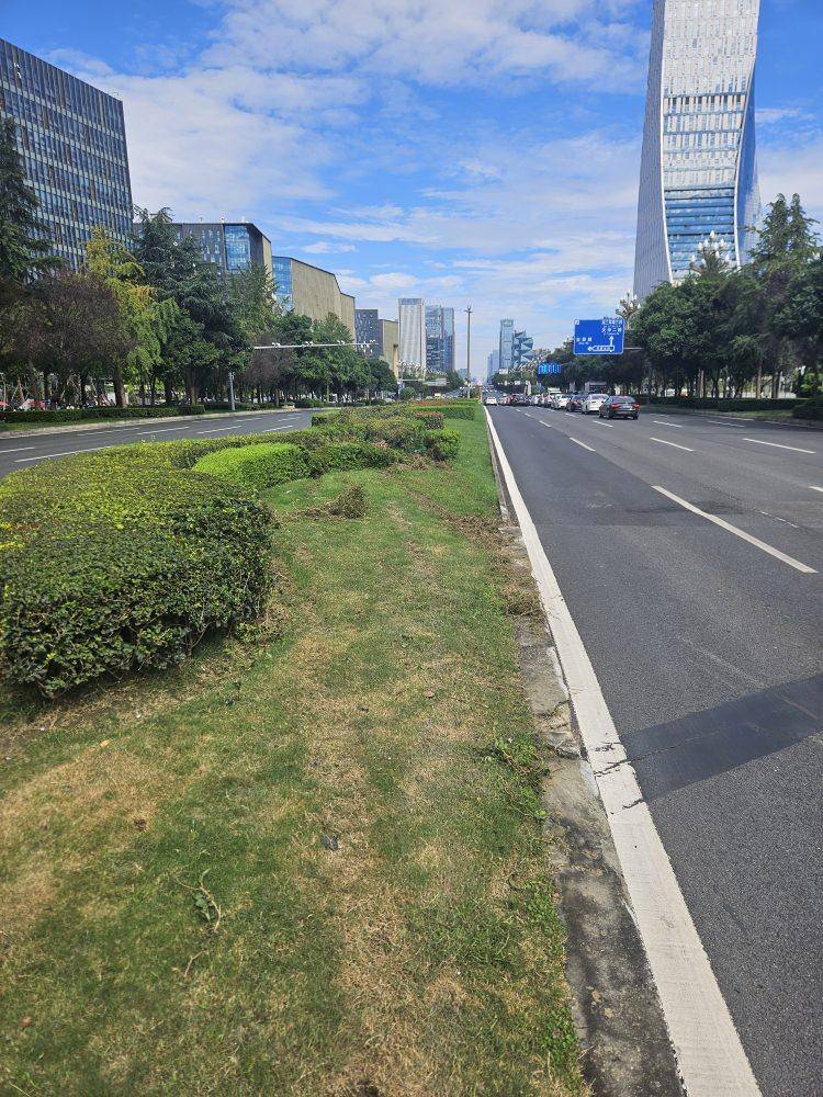 成都发生一起严重交通事故<strong></p>
<p>币圈信息</strong>，上游新闻实地探访：燃烧留下的印记仍在