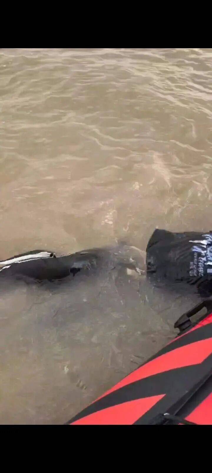 230斤重小伙酒后落水<strong></p>
<p>币圈信息</strong>，漂浮7小时终获救……