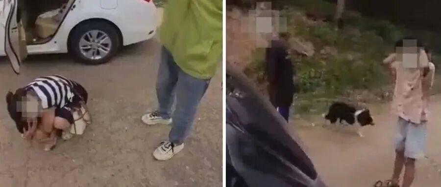 深圳一市民突遭马蜂围袭！已进入高发期<strong></p>
<p>币圈信息</strong>，千万别招惹！