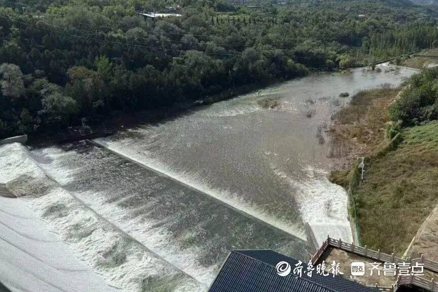 “鱼多得数不过来<strong></p>
<p>有币下载</strong>，一网子下去能捞好几条”济南锦绣川水库开闸放水，大量鲢鱼被冲出，工作人员：禁止捕捞！