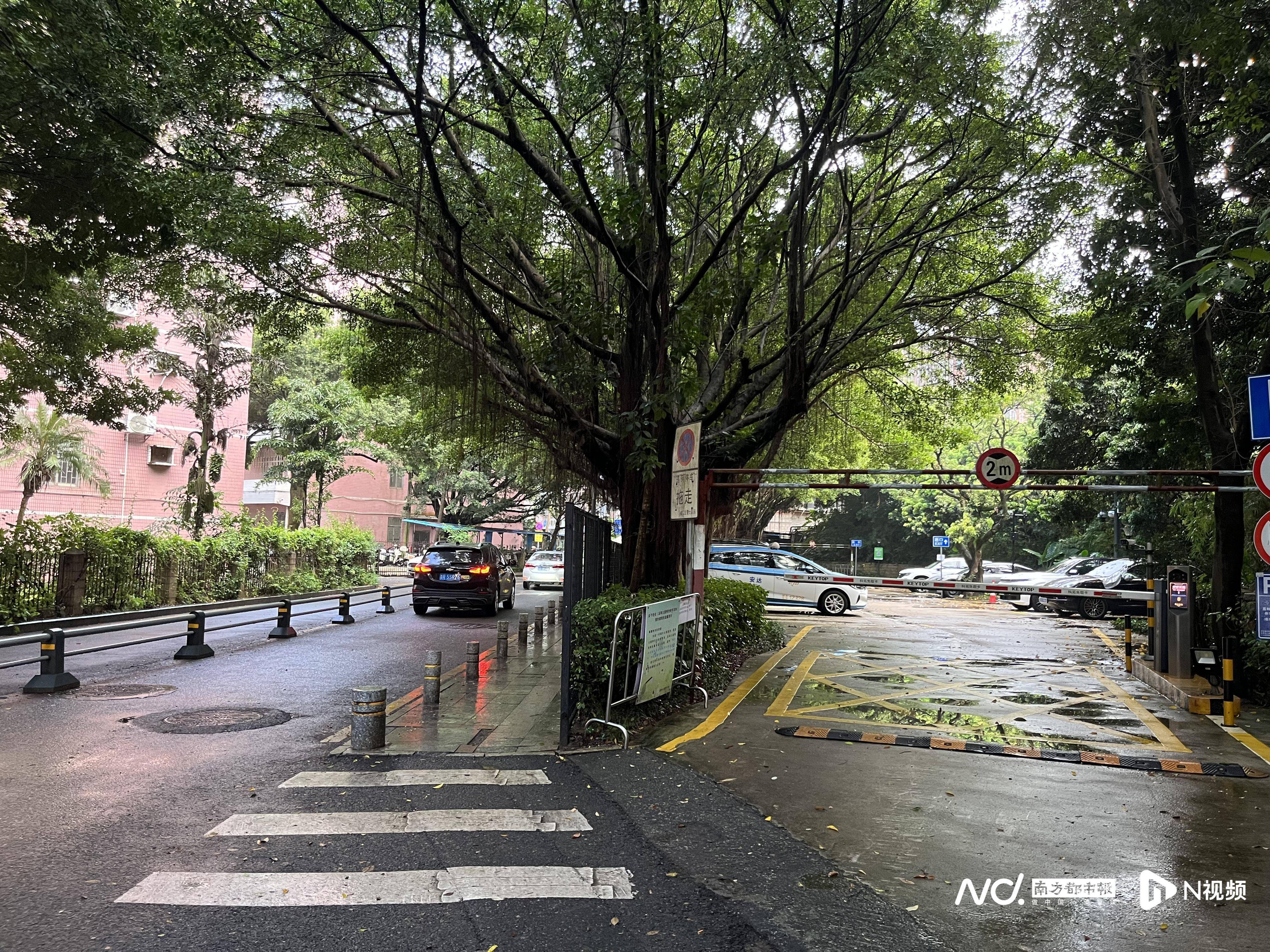 深圳一小区电动车管理引担忧<strong></p>
<p>有币下载</strong>，部门责令整改后，记者实探