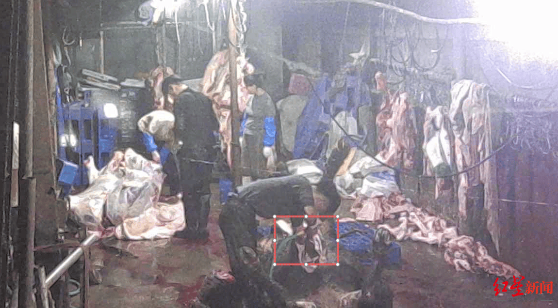 注水牛肉调查：屠宰场藏身农家院<strong></p>
<p>币圈名词</strong>，深夜切开牛胸注水数分钟，牛肉连夜送批发市场