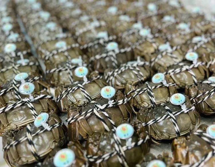 武汉江夏一地大闸蟹大量上市<strong></p>
<p>王莽币</strong>，日产1000斤当天售完，每只螃蟹有自己的“身份证”，吃深海小黄鱼长大