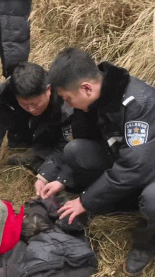 辽宁4岁女童称睡醒后自行下车<strong></p>
<p>马兰币</strong>，迷路后睡在草地，期间无人接触；其母发声