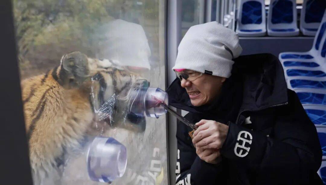 任贤齐打卡的哈尔滨<strong></p>
<p>链币</strong>,到底有多好玩?