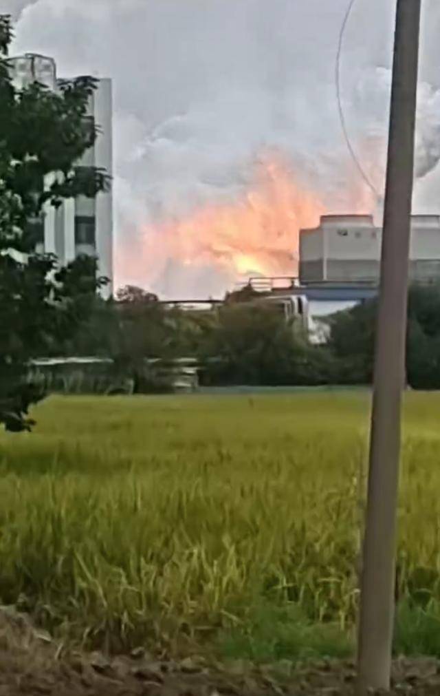 澄星股份工厂发生火灾?附近酒店:已灭火<strong></p>
<p>链币</strong>,有刺激性气味,建议不开窗