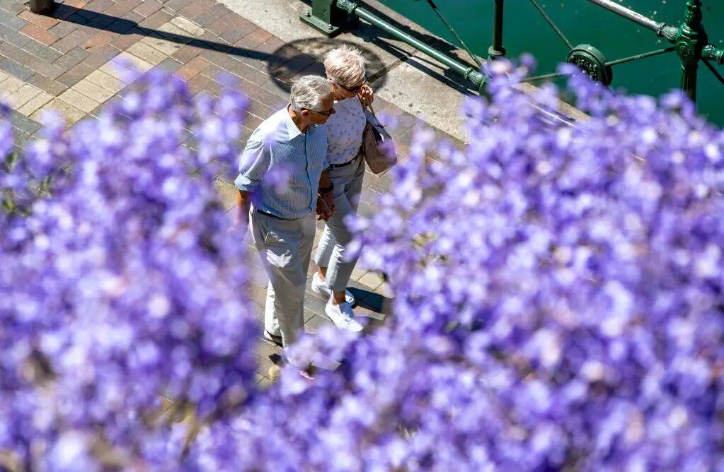 别说自己老了<strong></p>
<p>链币</strong>，大脑功能或60岁时达巅峰