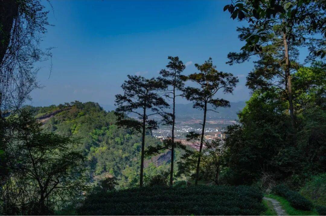 为什么年轻人迷上了爬山？ | 秋高气爽<strong></p>
<p>cbb炒币</strong>，是时候出发了→