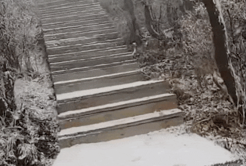 石家庄下雪了<strong></p>
<p>币圈公司</strong>！河北雨雪上线！新一股冷空气在路上……