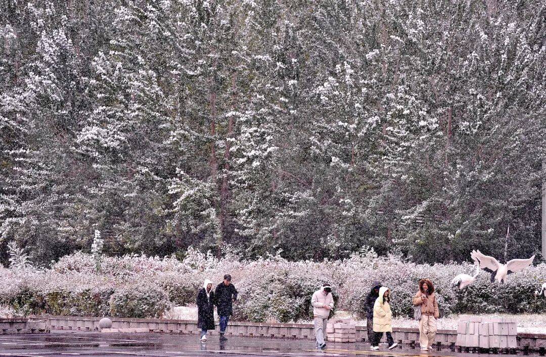 今年冬天是“超级冷冬”<strong></p>
<p>乐币区</strong>？最新回应