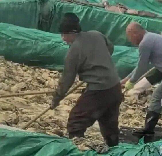 男子在酸菜池内抽烟吐痰<strong></p>
<p>老币兑换价格表</strong>,官方通报!