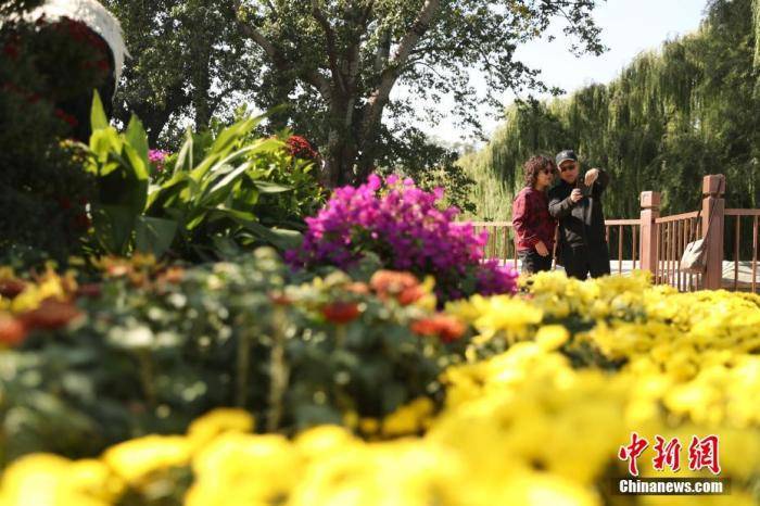 重阳节，为何又叫“重九节”？