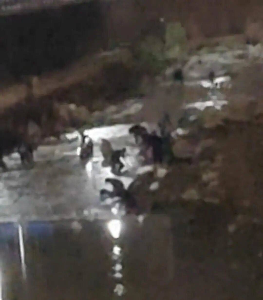 “一盆出5克多”<strong></p>
<p>学习炒币</strong>，多人凌晨下河淘金！当地警方回应