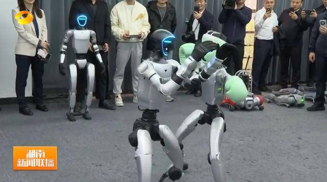 湖南省省长、浙江省省长<strong></p>
<p>币途</strong>，一同观看机器人表演