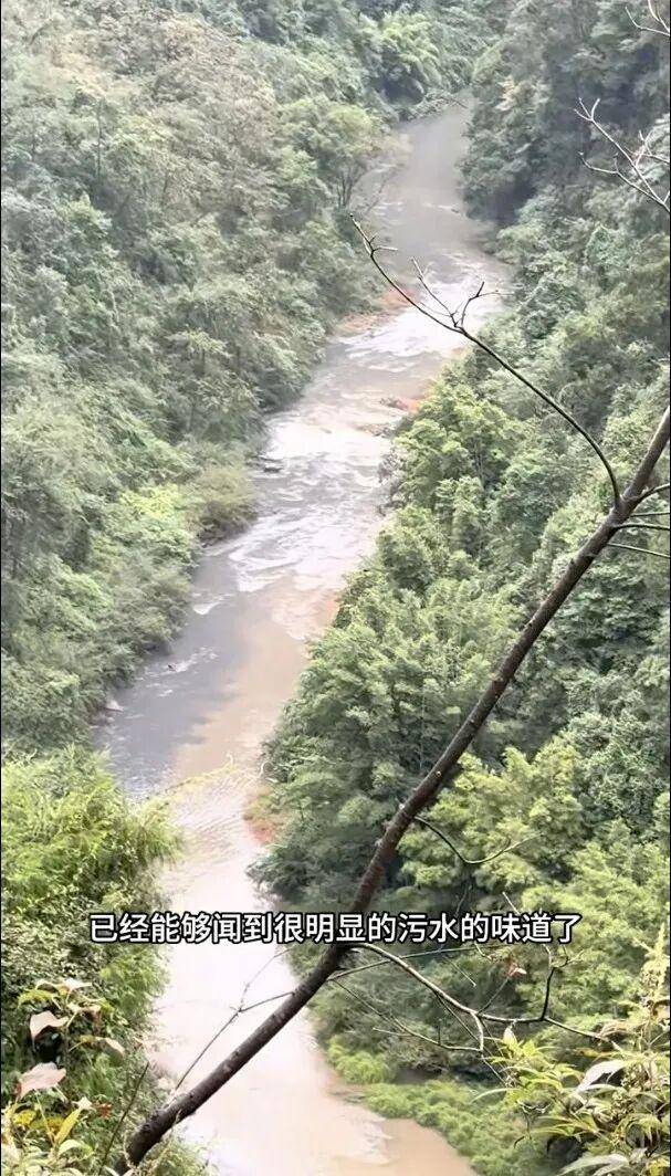 重庆通报:坚决查处<strong></p>
<p>炒币的方法</strong>,绝不姑息