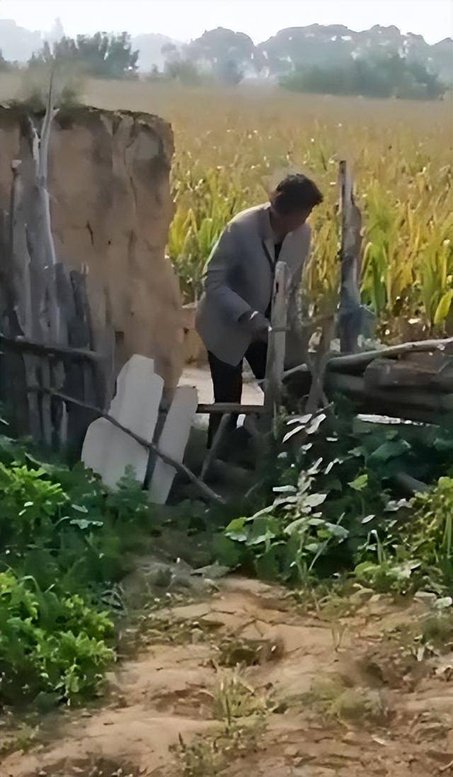 陕西一女子疑因拍亲姑姑偷玉米遭姑父棍杀<strong></p>
<p>炒币大赛</strong>，邻居欲报警也遇害