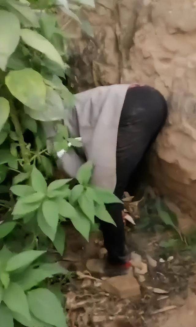 陕西一女子疑因拍亲姑姑偷玉米遭姑父棍杀<strong></p>
<p>炒币大赛</strong>，邻居欲报警也遇害